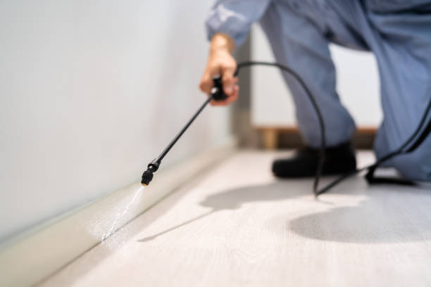 Bed Bug Pre-Treatment Preparation Assessment in Newport