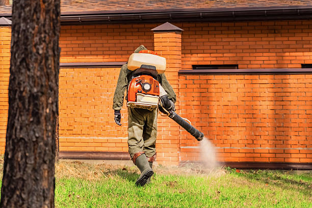 Bed Bug Clearance Verification and Documentation in Newport